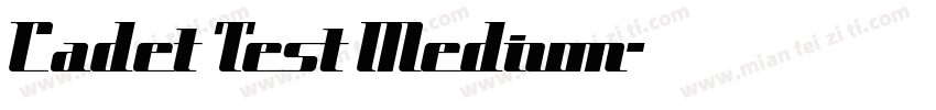 Cadet Test Medium字体转换